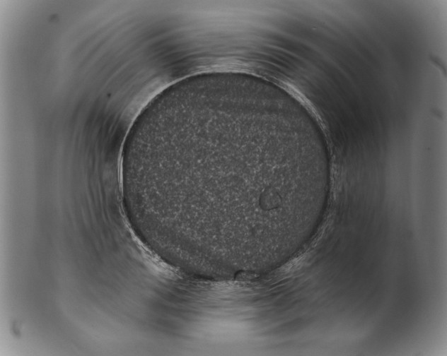 X0000101970988200808081547