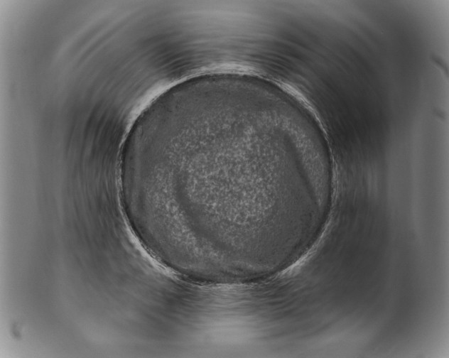 X0000101970989200808081547