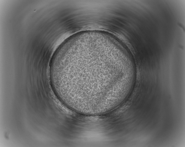 X0000101970990200808081547