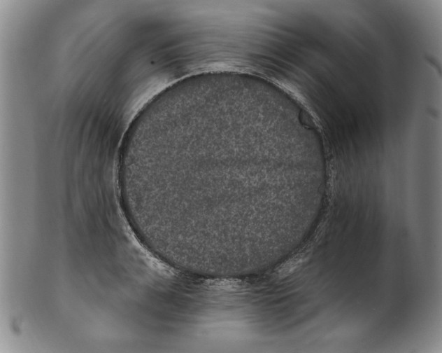 X0000101970991200808081547