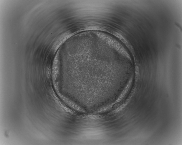 X0000101970993200808081547