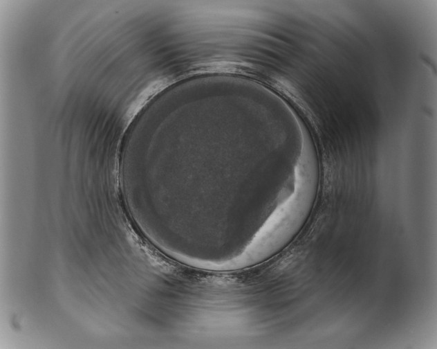 X0000101970994200808081547