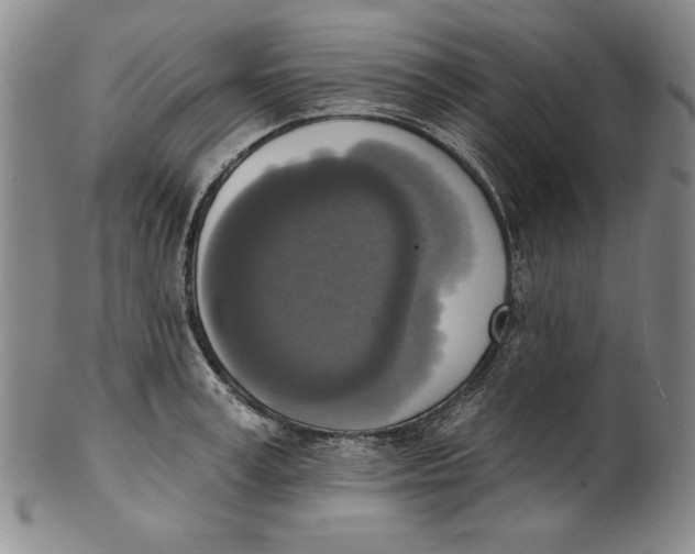 X0000101970995200808081547