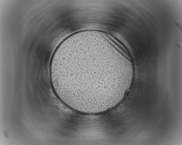 X0000101970996200808081547