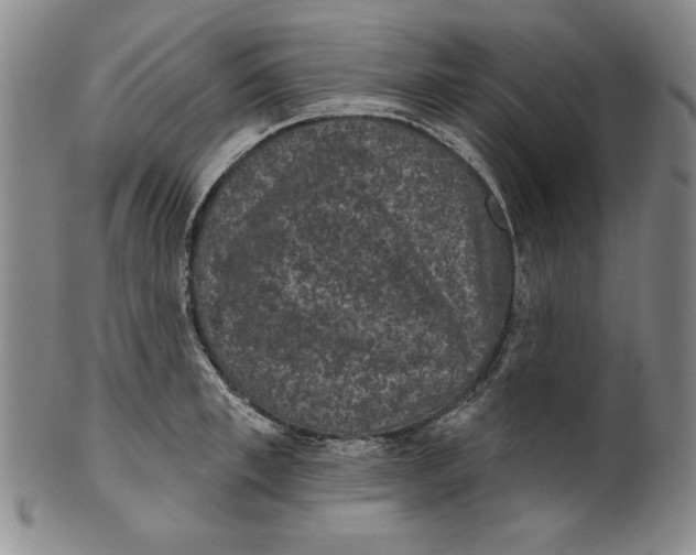 X0000101970997200808081547