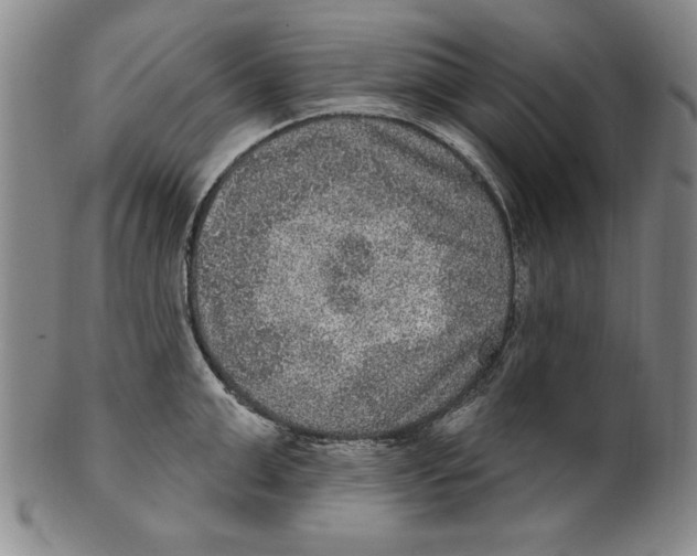 X0000101970999200808081547