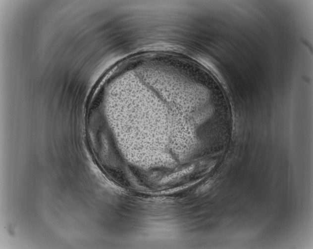 X0000101971000200808081547