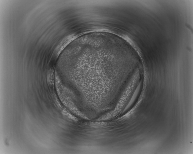 X0000101971001200808081547