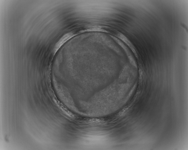 X0000101971002200808081547