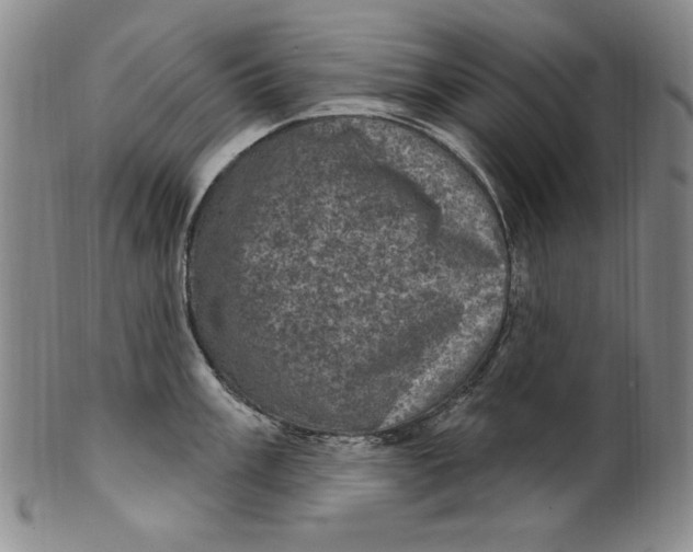 X0000101971003200808081547