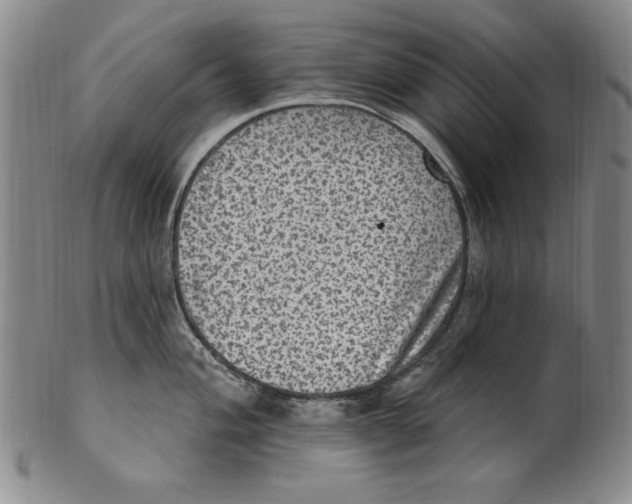 X0000101971004200808081547