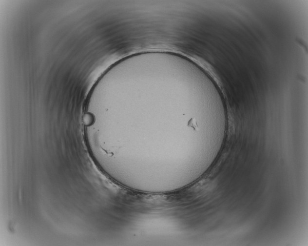 X0000101971006200808081547