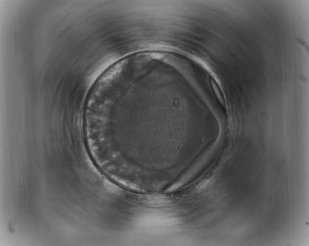 X0000101971007200808081547