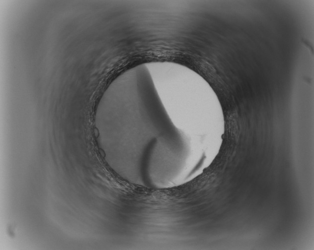 X0000101971009200808081546