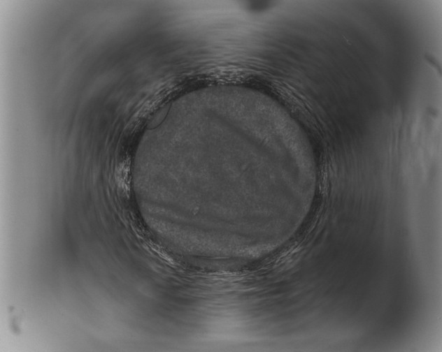 X0000101971010200808081546