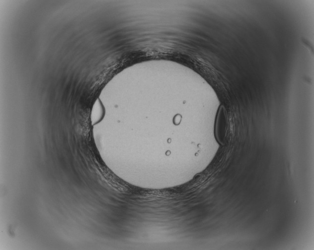 X0000101971012200808081546