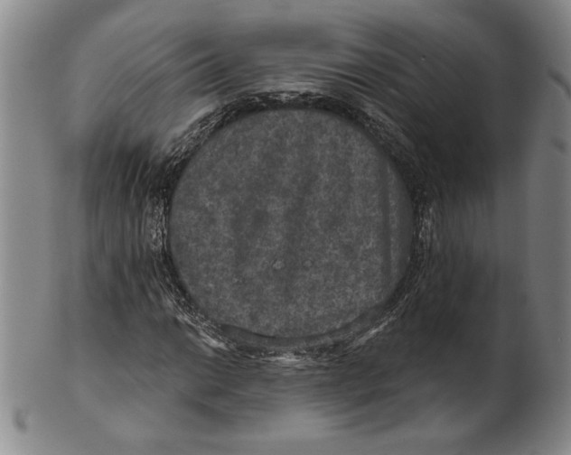 X0000101971014200808081546