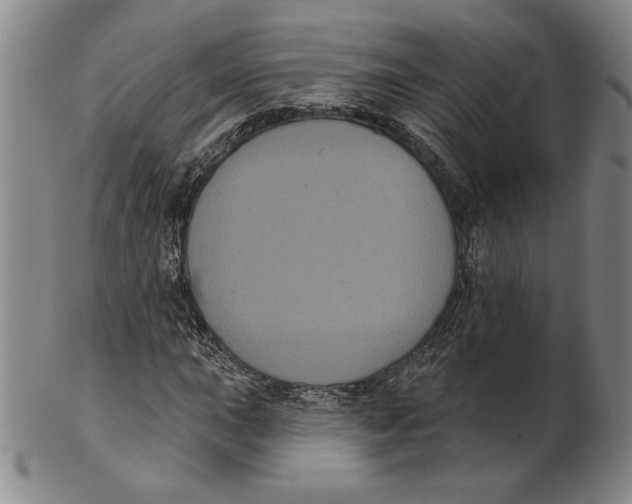 X0000101971015200808081546