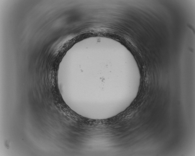 X0000101971016200808081546