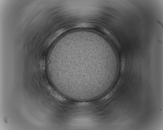 X0000101971017200808081546