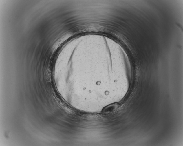 X0000101971018200808081546