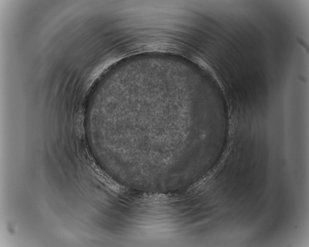 X0000101971019200808081546