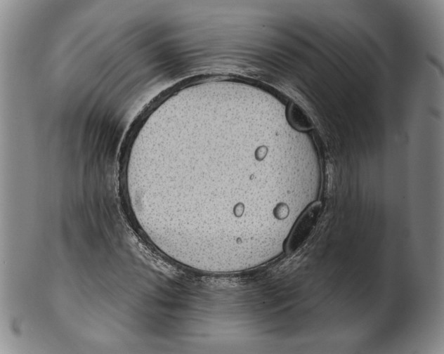 X0000101971020200808081546