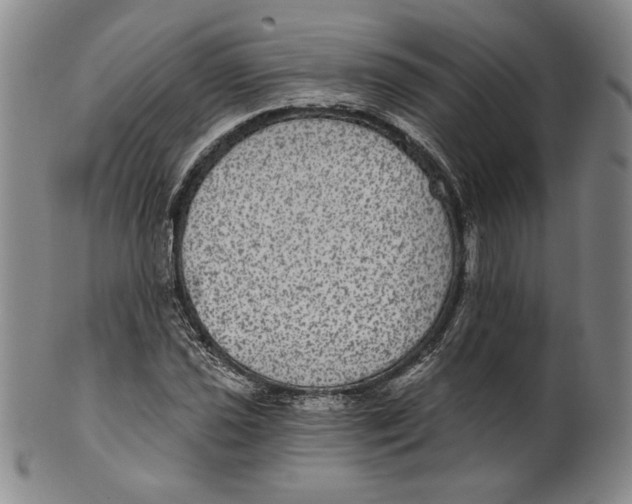 X0000101971021200808081546