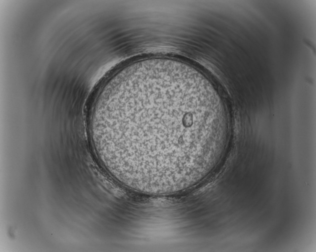 X0000101971022200808081546