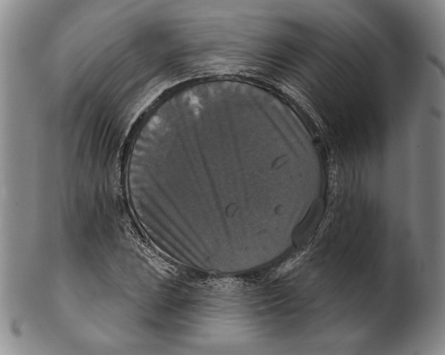 X0000101971023200808081546