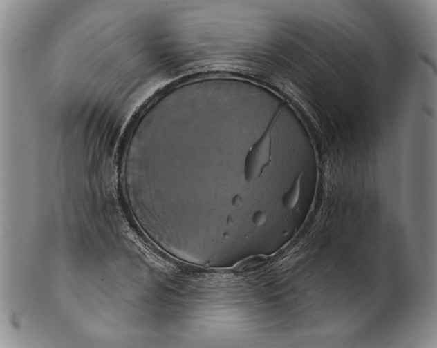 X0000101971024200808081546