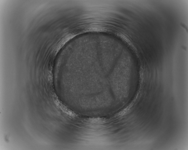 X0000101971025200808081546