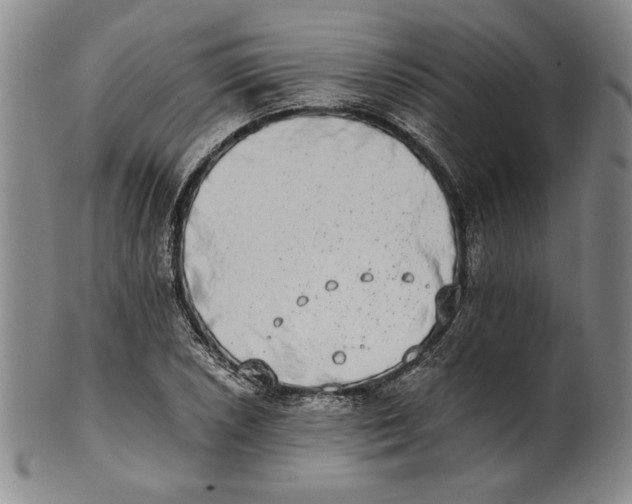 X0000101971026200808081546