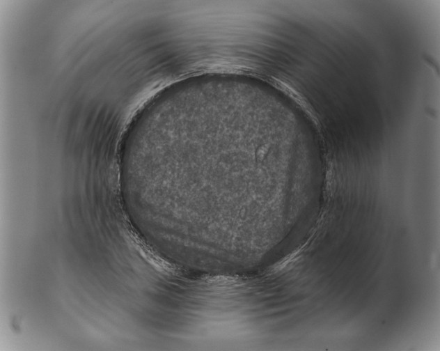 X0000101971027200808081546