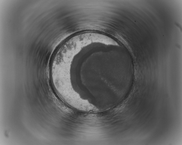 X0000101971028200808081546