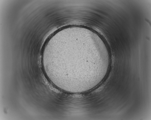 X0000101971029200808081546