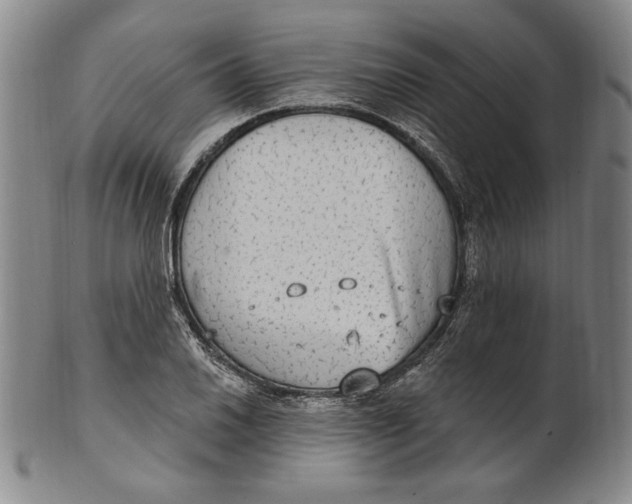 X0000101971030200808081546