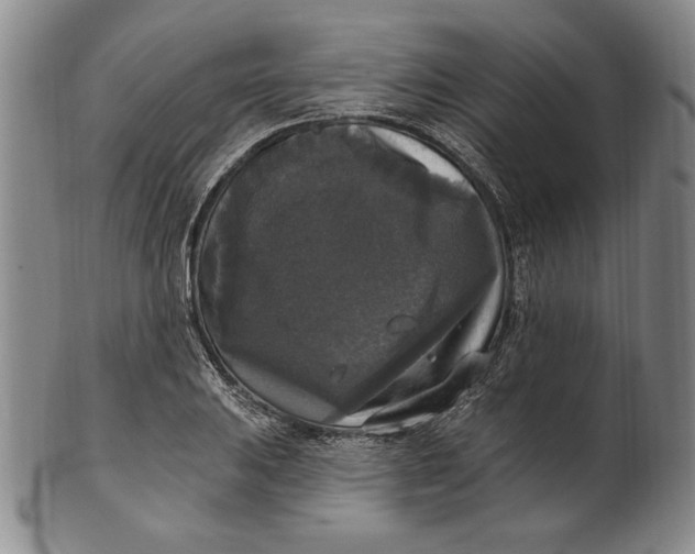 X0000101971031200808081546