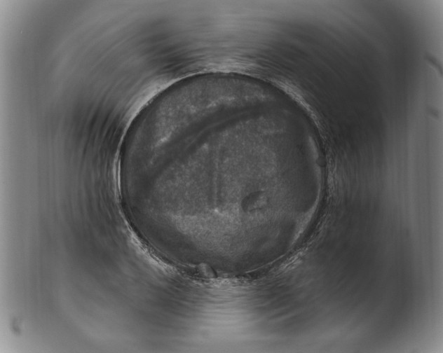 X0000101971032200808081546