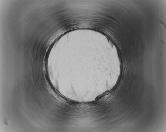 X0000101971034200808081546