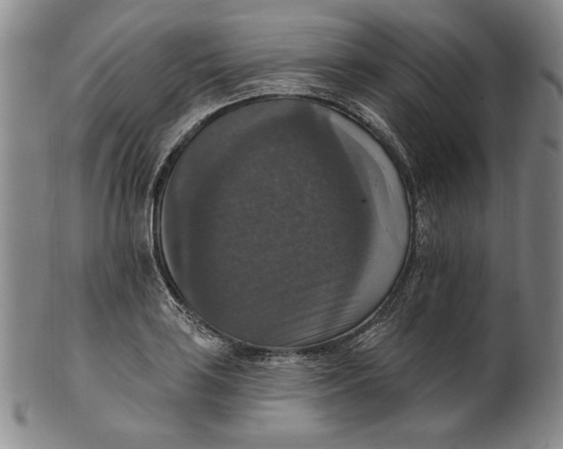 X0000101971035200808081546