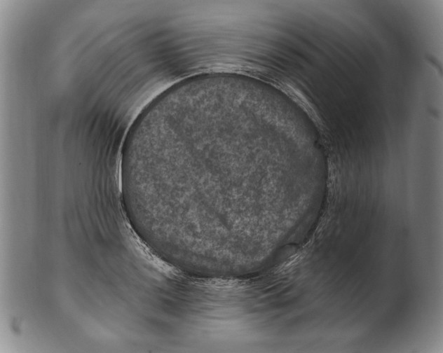 X0000101971036200808081546