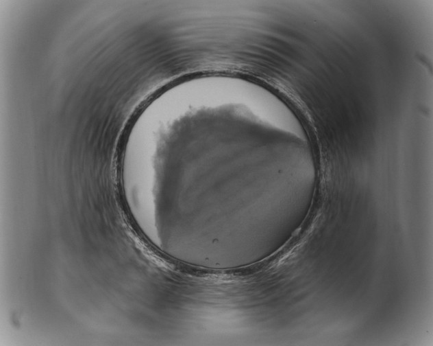 X0000101971037200808081546