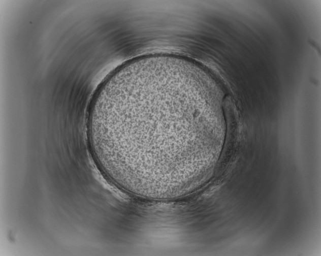 X0000101971038200808081546