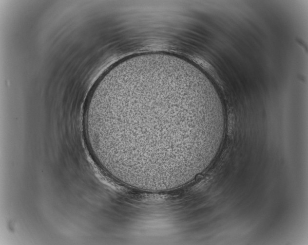 X0000101971039200808081546