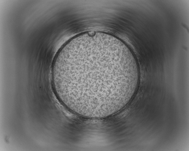 X0000101971040200808081546