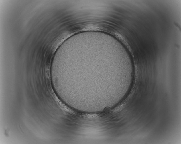 X0000101971041200808081546