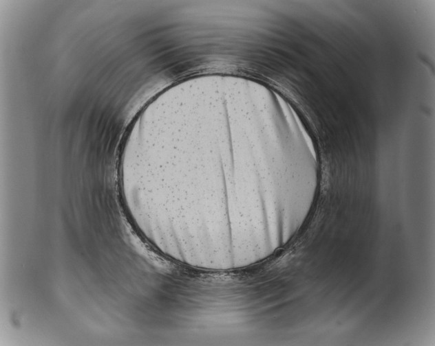 X0000101971042200808081546