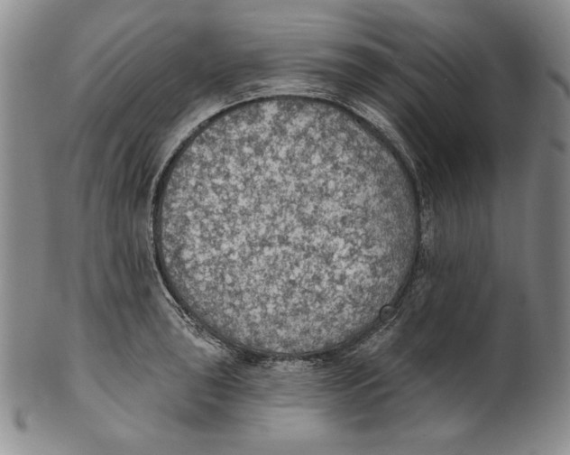 X0000101971043200808081547