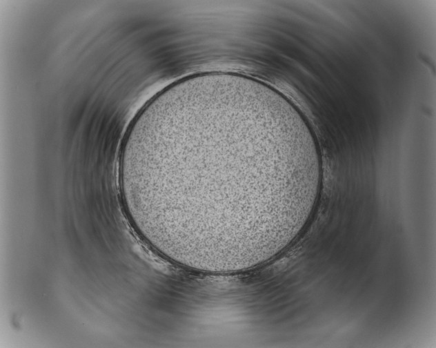 X0000101971044200808081547